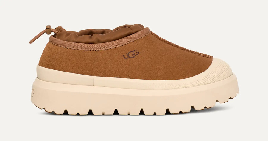 タスマンウェザーハイブリッド
