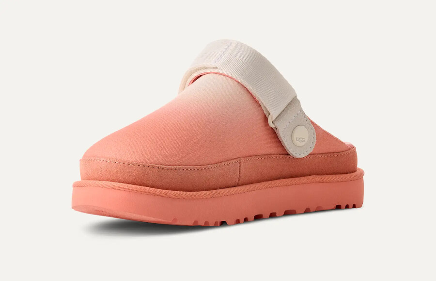 ゴールデンスター クロッグ サンレイ