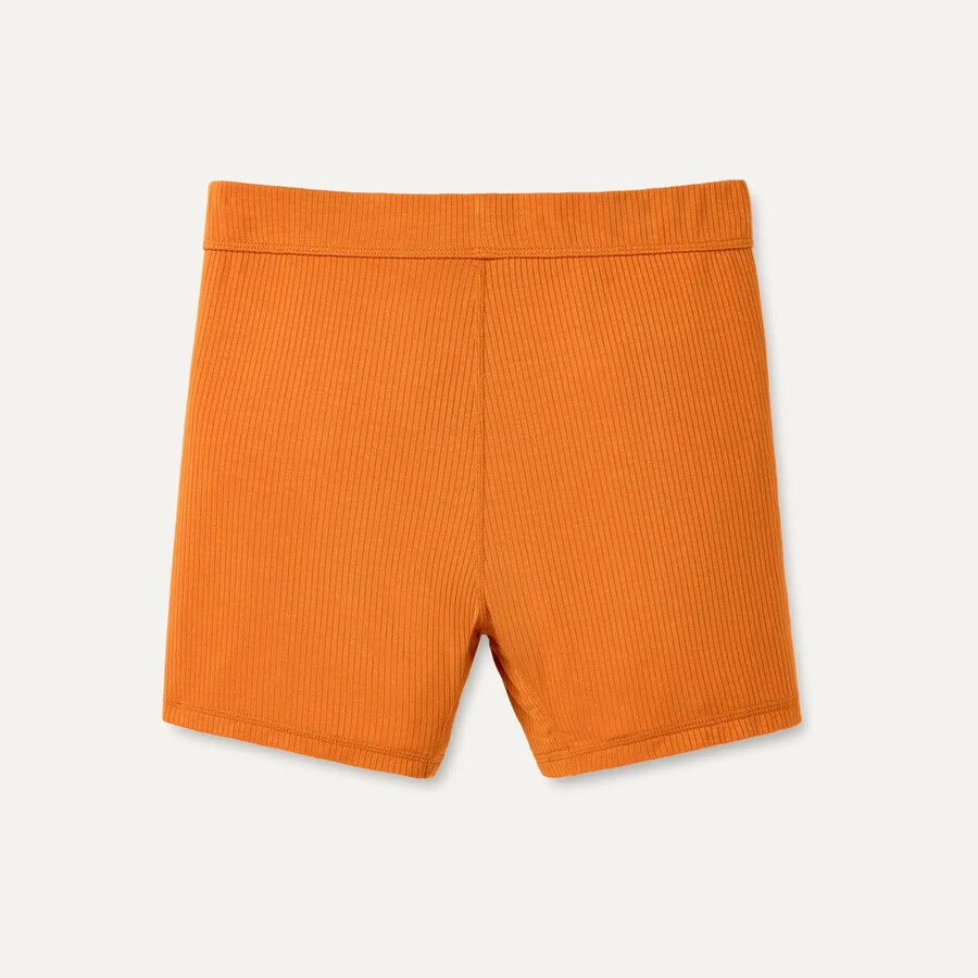 アレクシアボーイショートリブ